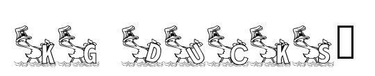 KG DUCKS2