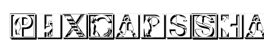 PixCapsShadow