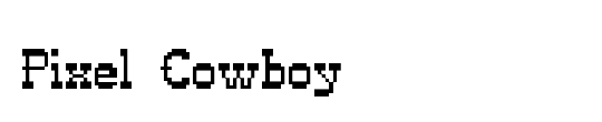 Pixel Cowboy