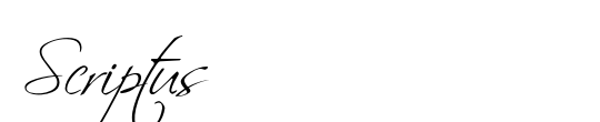Scriptus