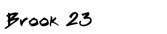 Brook 23