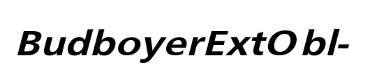 BudboyerExtObl-