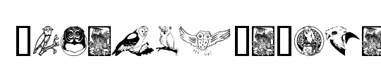 Carsten'sOwls