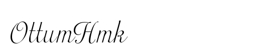OttumHmk