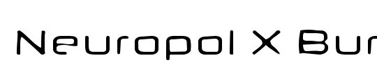 Neuropol X Burn