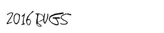 2016 Bugs
