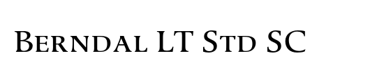 Berndal LT Std SC