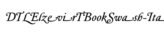DTLElzevirTBookSwash