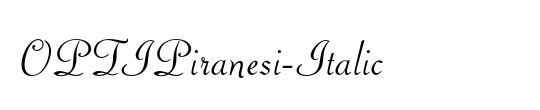 OPTIPiranesi