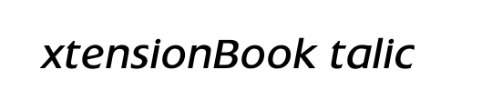 ExtensionBookItalic
