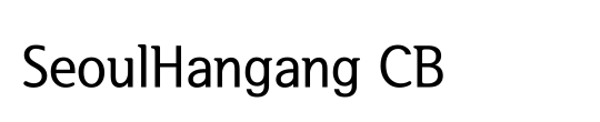 SeoulHangang CB