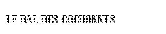 LE BAL DES COCHONNES