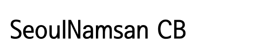 SeoulNamsan CB