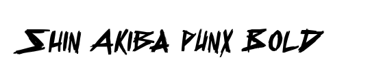 Shin Akiba punx