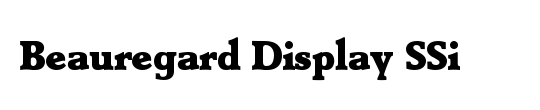 Beauregard Display SSi