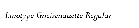 LTGneisenauette Regular