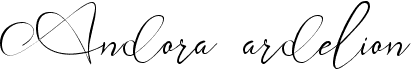 Andora Ardelion