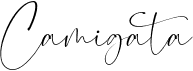 Camigata