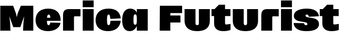 Merica Futurist