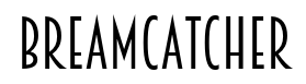 Breamcatcher