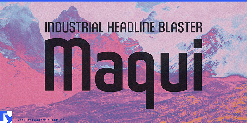 Maqui illustration